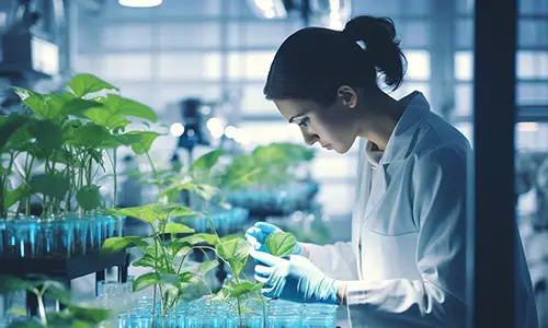 Biotech Engineering